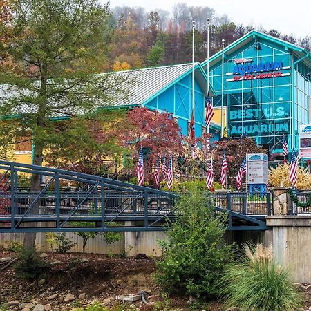 Bear View Chalet, 3 Bedroom, Pool, Pets, Arcades, Wifi, Hot Tub, Sleeps 12 Gatlinburg Exterior foto
